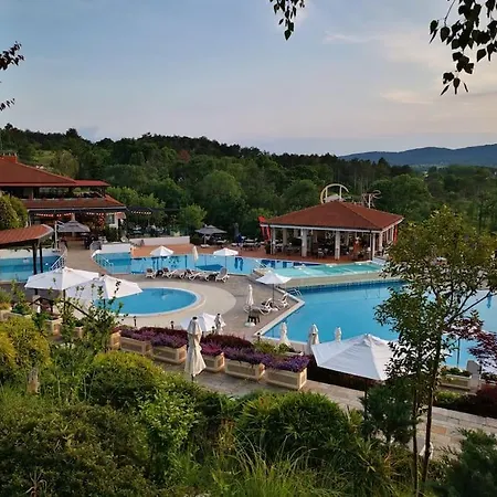 The Vacation You Deserve
