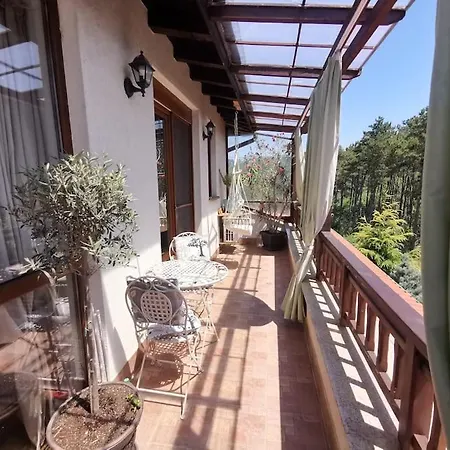 The Vacation You Deserve *